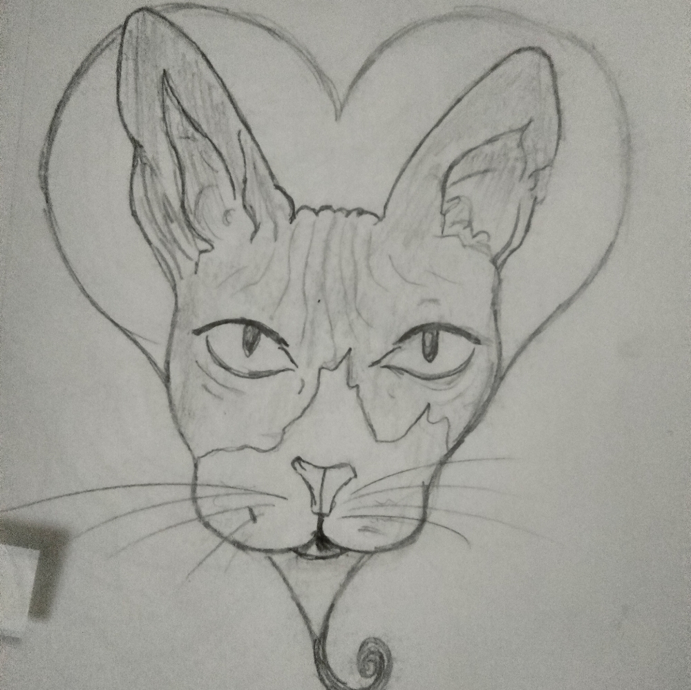 These are examples of artwork I have done. - Picture 3 of 16